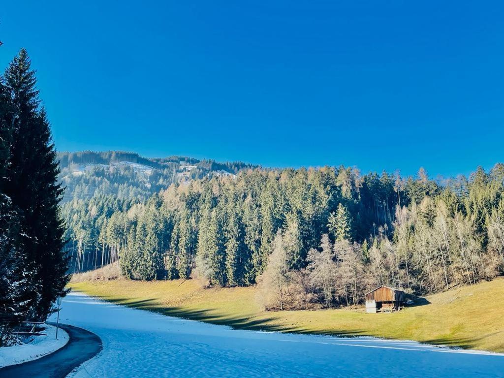 Apartment Royal Swan Appartement, Tirol