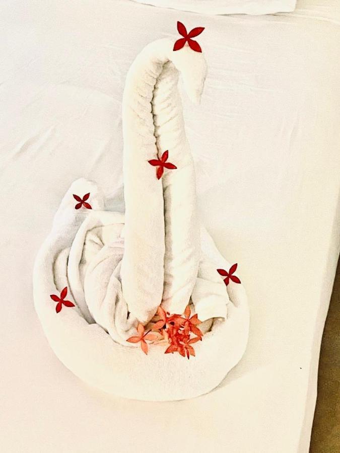 Royal Swan Appartement, Tirol Apartmán *